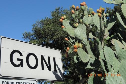 Goni (Cagliari)